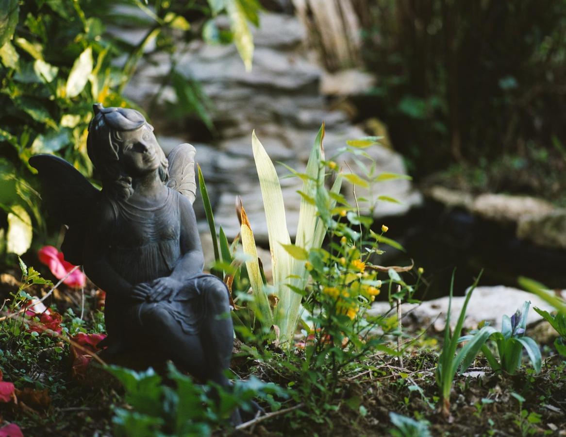 Le Jardin Sarlat Bed & Breakfast Luaran gambar
