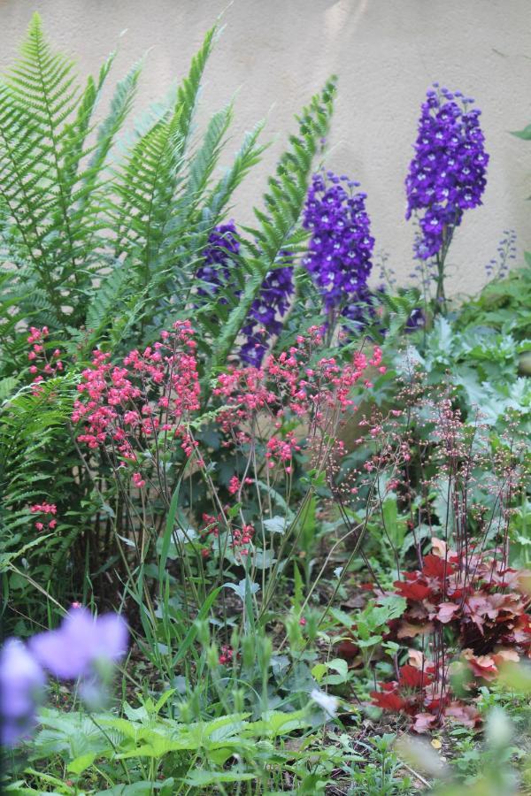 Le Jardin Sarlat Bed & Breakfast Luaran gambar